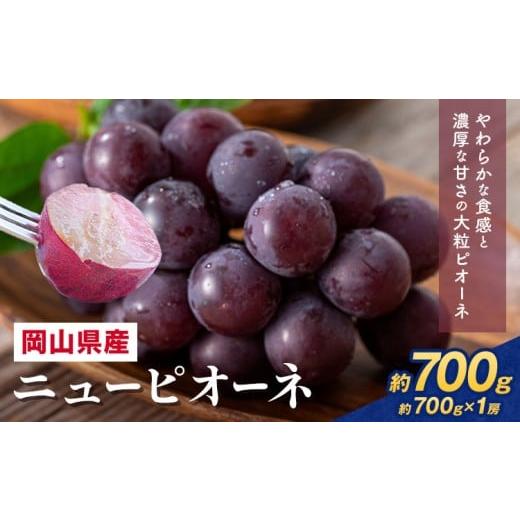 ふるさと納税 果物類 ぶどう 岡山県 浅口市 2026年先行予約 岡山県産 ニューピオーネ詰合せ 選べる 計 700g 株式会社はちや[2026年8月下旬‐9月下旬頃出荷]…