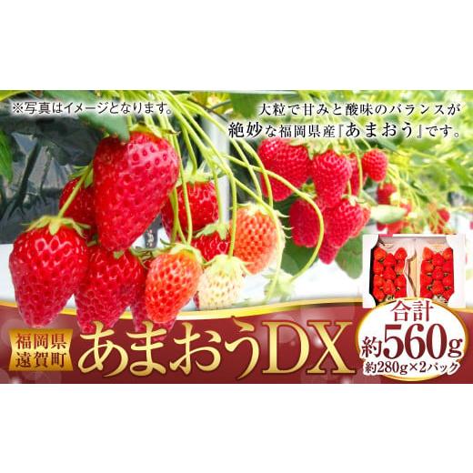 ふるさと納税 いちご 福岡県 遠賀町 あまおうDX 約280g×2パック あまおう いちご イチゴ 苺 果物 くだもの フルーツ 2026年2月上旬〜4月上旬発送予定