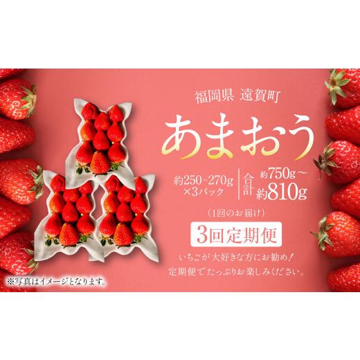 ふるさと納税 いちご 福岡県 遠賀町 3回定期便 あまおう 3パック 計約750〜810g ×3回 あまおう いちご イチゴ 苺 果物 くだもの フルーツ 定期便 2026年1月…