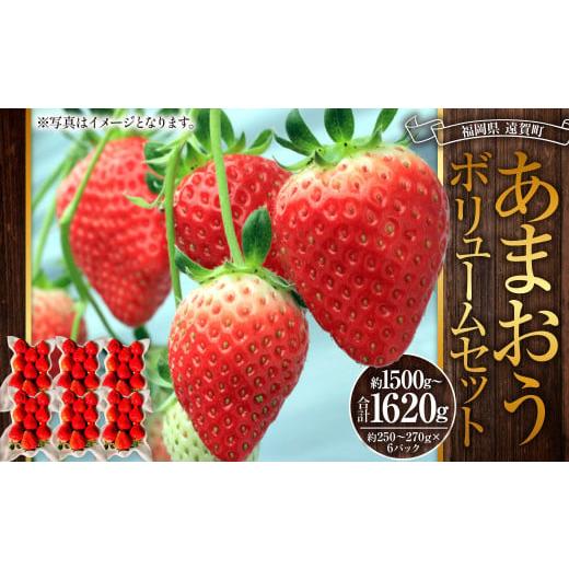 ふるさと納税 いちご 福岡県 遠賀町 あまおうボリュームセット 6パック 計約1500〜1620g あまおう いちご イチゴ 苺 果物 くだもの フルーツ 2026年2月上旬〜4…