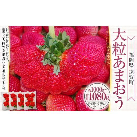 ふるさと納税 いちご 福岡県 遠賀町 大粒あまおう 4パック 計約1000〜1080g あまおう いちご イチゴ 苺 果物 くだもの フルーツ 2026年2月上旬〜4月上旬発送予…