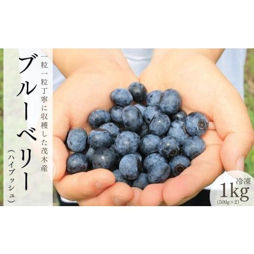 ふるさと納税 果物類 栃木県 茂木町 茂木町産 冷凍ブルーベリー(ハイブッシュ) 1kg | ブルーベリー ハイブッシュ 冷凍 フルーツ 果物 ベリー ジャム 朝食 ヨ…