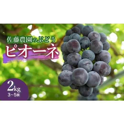 ふるさと納税 果物類 ぶどう 山形県 鶴岡市 令和8年産先行予約 鶴岡市産 ピオーネ 約2kg(3〜5房) 佐藤農園