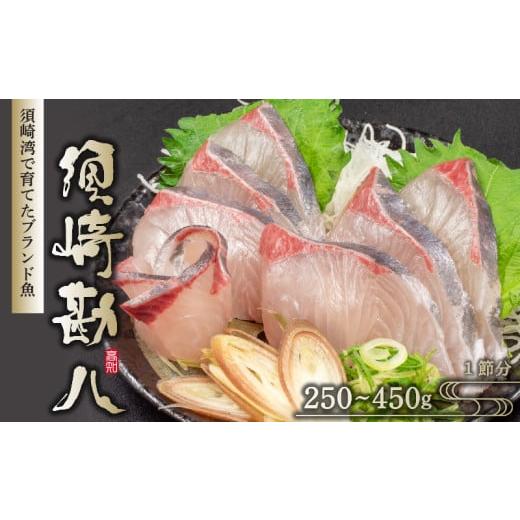ふるさと納税 旬の鮮魚等 高知県 須崎市 須崎勘八 250g以上 勘八 環八 カンパチ かんぱち ブランド 魚 鮮魚 冷凍 海鮮 刺身 さしみ 焼き魚 料理 簡単調理 背 …