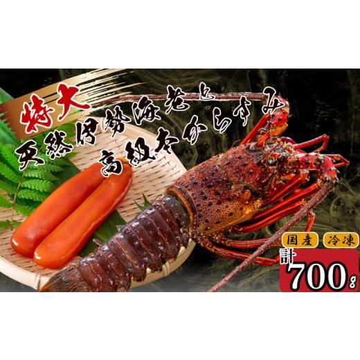 ふるさと納税 エビ 伊勢エビ 高知県 須崎市 特大伊勢海老 1匹 高級 本からすみ 100g ( 特大サイズ 急速冷凍 えび エビ からすみ カラスミ 珍味 高級 鮮魚 海鮮…