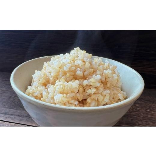 ふるさと納税 玄米 岩手県 陸前高田市  2ヶ月定期便 令和7年産 玄米 10kg×2ヶ月お届け 品種：ひとめぼれ 米 お米 ライス お弁当 おにぎり 人気 ギフト 長期保…の画像