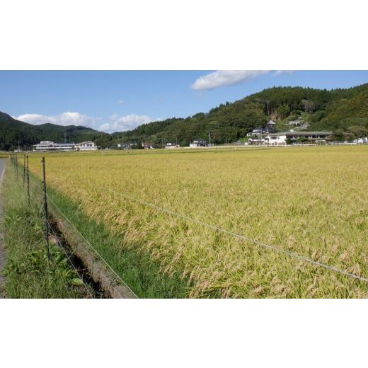 ふるさと納税 玄米 岩手県 陸前高田市  2ヶ月定期便 令和7年産 玄米 10kg×2ヶ月お届け 品種：ひとめぼれ 米 お米 ライス お弁当 おにぎり 人気 ギフト 長期保…の画像