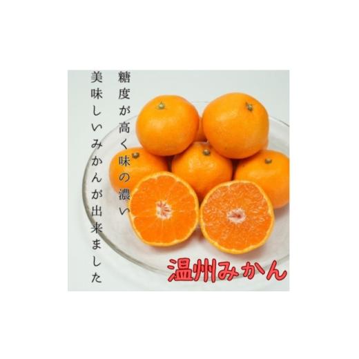 ふるさと納税 果物類 みかん 愛媛県 八幡浜市 愛媛県八幡浜産 極甘みかん 3kg C96-1 1670374