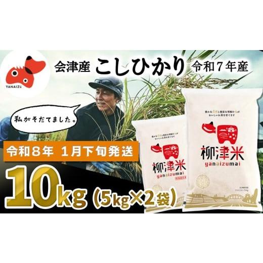 ふるさと納税 米 福島県 柳津町 令和7年産 福島県柳津町産「こしひかり」10kg[2026年1月下旬発送予定] 1680158