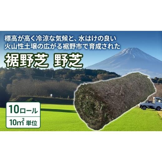 ふるさと納税 食器・グラス 静岡県 裾野市 裾野芝(野芝)10ロール(10m2)単位 芝 芝生 ガーデニング DIY 庭 天然 天然芝 最高級 裾野市 静岡県 No.5812-08…