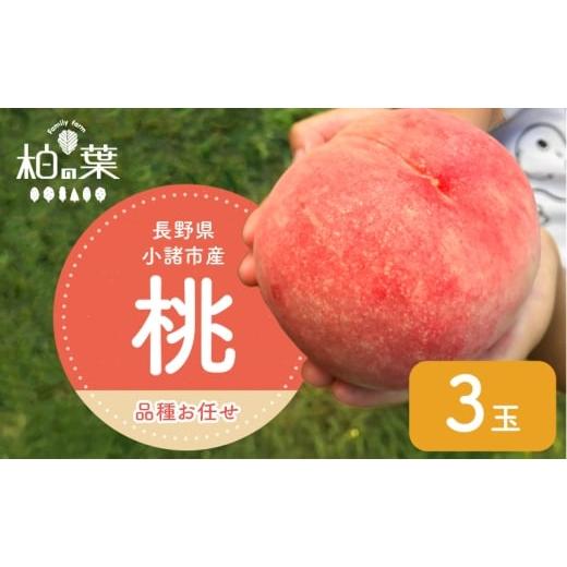 ふるさと納税 もも 長野県 小諸市 2026年発送先行予約 長野県小諸市産 朝採れ 特選大玉桃 3玉(約1kg) Family farm 柏の葉  