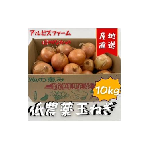 ふるさと納税 野菜類 玉ねぎ 長野県 中野市 低農薬で作られた甘い玉ねぎ 10kg 1626400