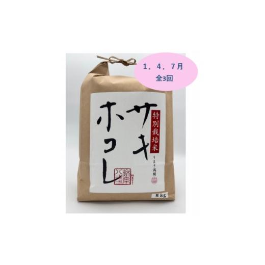 ふるさと納税 米 秋田県 大潟村 発送月固定定期便 1月、4月、7月 特別栽培米サキホコレ5kg全3回 4075607