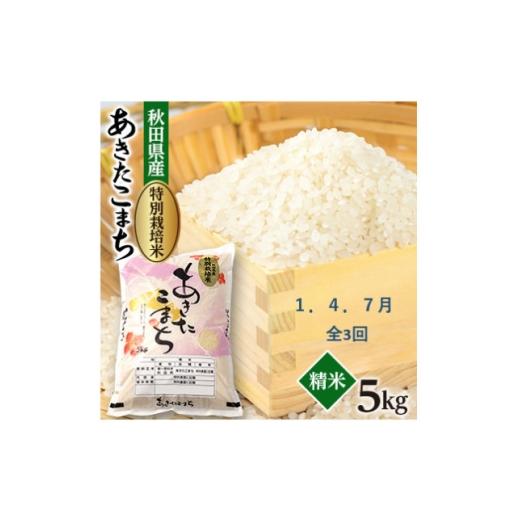 ふるさと納税 米 秋田県 大潟村 発送月固定定期便 1月・4月・7月 特別栽培米あきたこまち5kg全3回 4075610