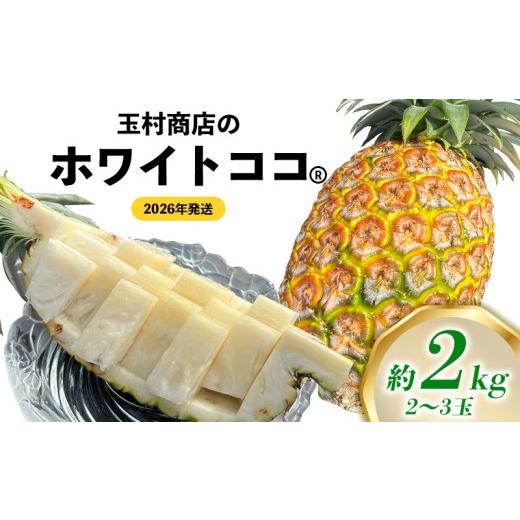 ふるさと納税 果物類 沖縄県 東村 玉村商店のホワイトココ 2〜3玉(約2kg) 2026年発送 沖縄県産 東村 パイナップル ジューシー 希少 高級フルーツ 南国フル…