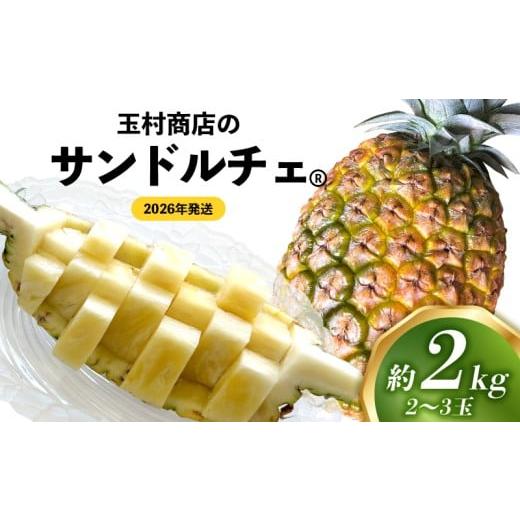 ふるさと納税 果物類 沖縄県 東村 玉村商店のサンドルチェ 2〜3玉(約2kg) 2026年発送 沖縄県産 東村 パイナップル ジューシー 希少 高級フルーツ 南国フル…