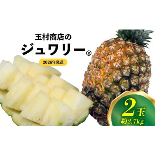 ふるさと納税 果物類 沖縄県 東村 玉村商店のジュワリー 2玉(約2.7kg) 2026年発送 沖縄県産 東村 パイナップル ジューシー 希少 高級フルーツ 南国フルーツ…