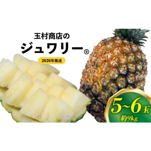 ふるさと納税 果物類 沖縄県 東村 玉村商店のジュワリー 5〜6玉(約9kg) 2026年発送 沖縄県産 東村 パイナップル ジューシー 希少 高級フルーツ 南国フルー…