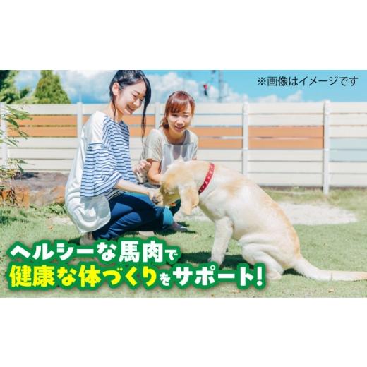 ふるさと納税 馬肉 熊本県 菊陽町  全12回定期便 詰め合わせ 国内加工 ペット用 馬肉 切り落とし 約1kg ペット用 馬刺しジャーキー 約100g(約50g×2) ／ ドッ…の画像