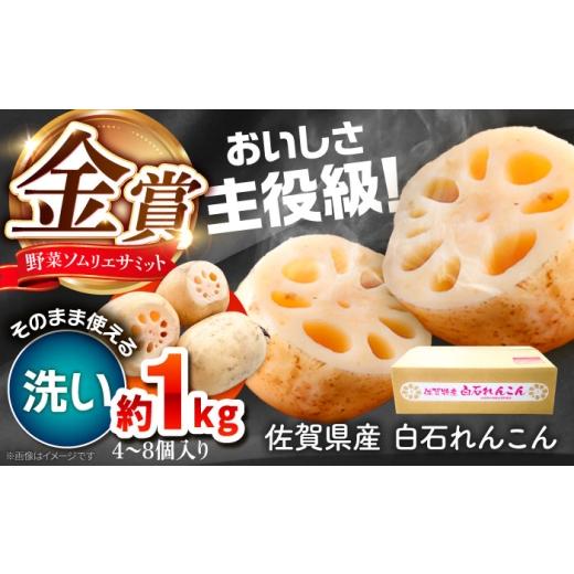 ふるさと納税 人参・大根・他根菜 佐賀県 白石町 金賞受賞 洗いれんこん 計1kg(4-8個) 松尾青果