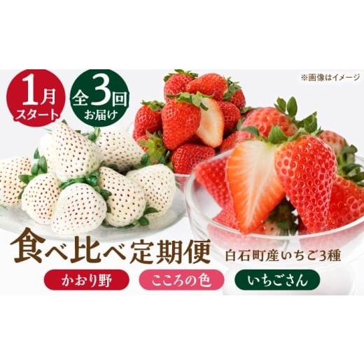 ふるさと納税 いちご 佐賀県 白石町 R8年1月以降発送 全3回定期便 3種の食べ比べ定期便(1) StrawberryFarm-K