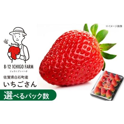 ふるさと納税 いちご 佐賀県 白石町 R8年2月以降発送 いちごさん 960g(4パック) 8/12ICHIGOFARM IBR006 960g(4パック)