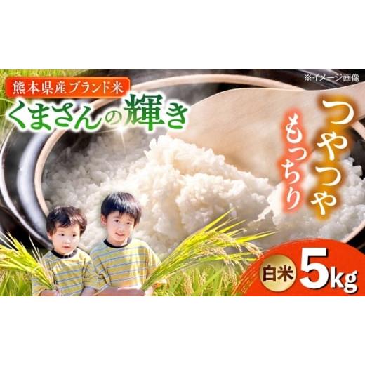 ふるさと納税 米 熊本県 合志市 令和7年度 くまさんの輝き 白米 5kg (1袋) TKCラボ(辻米クラブ研究所)