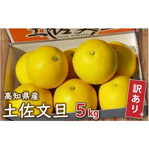 ふるさと納税 みかん・柑橘類 高知県 須崎市 訳あり 土佐文旦 5kg 2026年2月より発送 高知県産 柑橘 フルーツ 文旦 ぶんたん ブンタン 果物 みかん 蜜柑 柑橘…