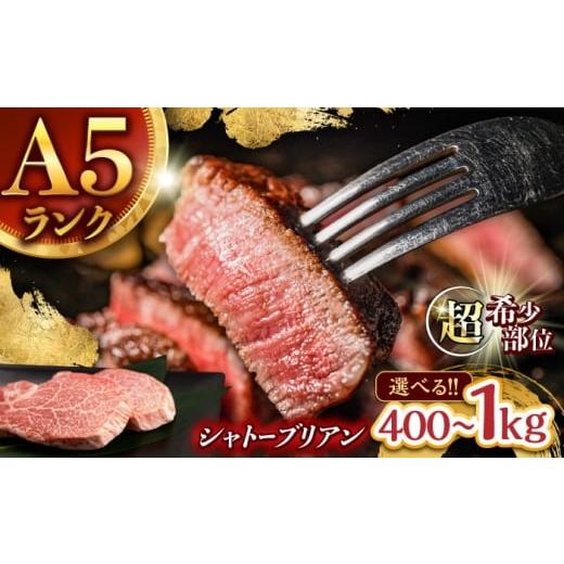 ふるさと納税 牛肉 ヒレ 長崎県 諫早市 唯一無二の贅沢 長崎和牛 シャトーブリアン 400g(200g×2) / ヒレ ひれ ヒレステーキ ステーキ すてーき しゃとーぶ…