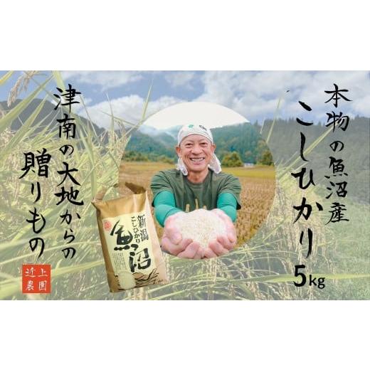 ふるさと納税 米 コシヒカリ 新潟県 津南町 令和7年産 魚沼産コシヒカリ 白米 5kg | お米 おこめ 白米 精米 おすすめ 人気 新潟県 津南町 近上農園