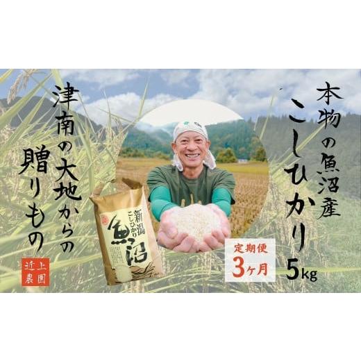 ふるさと納税 米 コシヒカリ 新潟県 津南町 定期便3ヶ月 令和7年産 魚沼産コシヒカリ 白米 5kg | お米 おこめ 白米 精米 おすすめ 人気 新潟県 津南町 近上農…