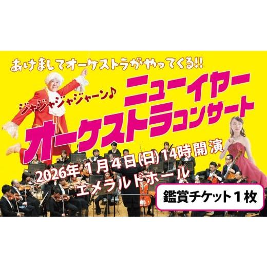ふるさと納税 フェス・コンサート 愛知県 碧南市 碧南市芸術文化ホール「1/4 ニューイヤー・オーケストラコンサート」チケット 音楽 クラシック 楽器 演奏 …
