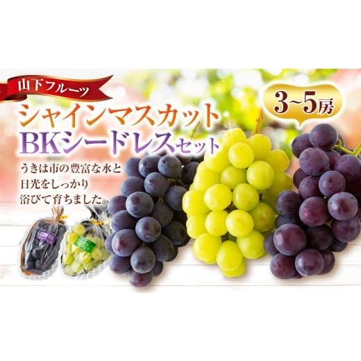 ふるさと納税 ぶどう マスカット 福岡県 うきは市 先行予約 山下フルーツ シャインマスカットとBKシードレスの詰め合わせ 3房から5房 2026年8月上旬〜9月上旬…