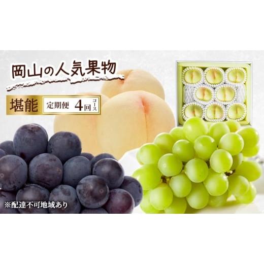 ふるさと納税 もも 岡山県 赤磐市 定期便 2026年 先行予約 岡山の人気果物 堪能 4回コース 清水白桃 桃 白桃 ぶどう ピオーネ シャインマスカット 赤磐市