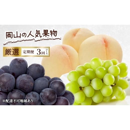 ふるさと納税 もも 岡山県 赤磐市 定期便 2026年 先行予約 岡山の人気果物 厳選 3回コース 桃 白桃 ぶどう ピオーネ シャインマスカット 晴王 赤磐市