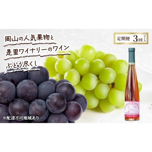 ふるさと納税 ワイン 岡山県 赤磐市 定期便 2026年 先行予約 岡山の人気果物と是里ワイナリーのワイン ぶどう尽くし 3回コース ぶどう ピオーネ ワイン シャイ…