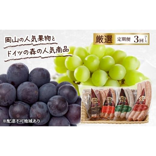 ふるさと納税 ワイン 岡山県 赤磐市 定期便 2026年 先行予約 岡山の人気果物とドイツの森の人気商品 厳選 3回コース ぶどう ニューピオーネ シャインマスカッ…