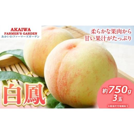 ふるさと納税 もも 岡山県 赤磐市 桃 2026年 先行予約 白桃 白鳳 約750g 3玉 もも 岡山県 赤磐市産 フルーツ 果物 あかいわファーマーズガーデン 果物類