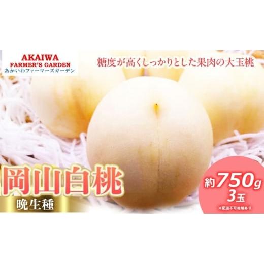 ふるさと納税 もも 岡山県 赤磐市 桃 2026年 先行予約 岡山の 白桃 (晩生種) 約750g 3玉 もも 岡山県 赤磐市産 フルーツ 果物 あかいわファーマーズガーデン …