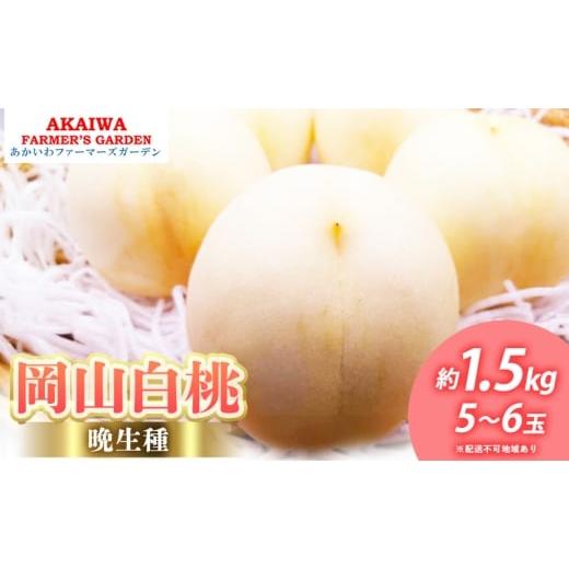 ふるさと納税 もも 岡山県 赤磐市 桃 2026年 先行予約 岡山の 白桃 (晩生種) 約1.5kg 5〜6玉 もも 岡山県 赤磐市産 フルーツ 果物 あかいわファーマーズガーデ…