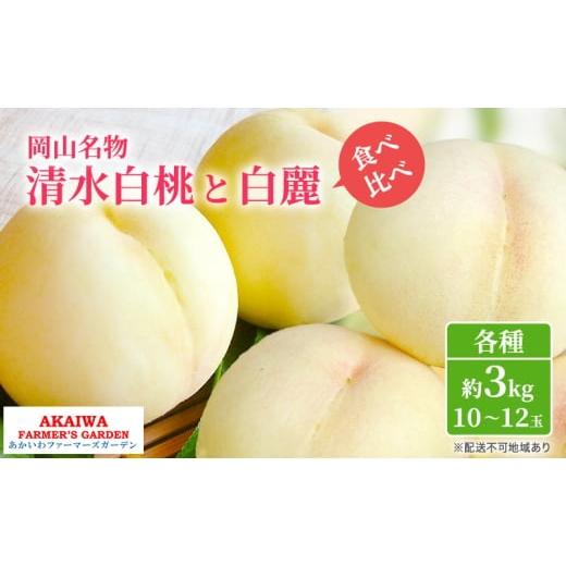 ふるさと納税 もも 岡山県 赤磐市 桃 2026年 先行予約 定期便 岡山名物 白桃 食べ比べ 清水白桃 と 白麗 各約3.0kg 10〜12玉 あかいわファーマーズガーデン 果…