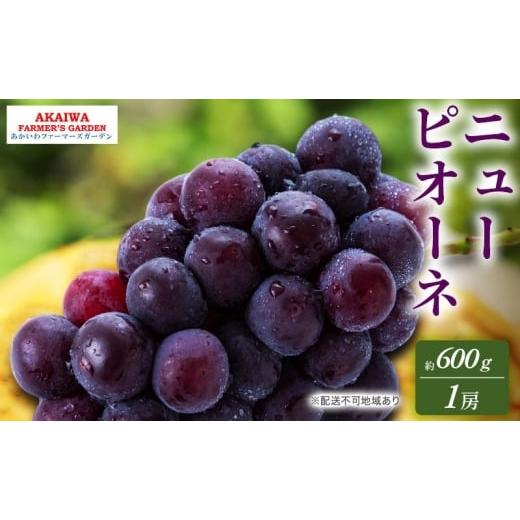 ふるさと納税 果物類 ぶどう 岡山県 赤磐市 ぶどう 2026年 先行予約 ニューピオーネ 約600g 1房 葡萄 岡山県 赤磐市産 フルーツ 果物 あかいわファーマーズガ…