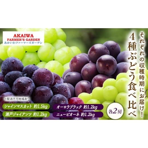 ふるさと納税 果物類 ぶどう 岡山県 赤磐市 ぶどう 2026年 先行予約 ぶどう 食べ比べ 約1.2kg〜1.5kg×4種 葡萄 岡山県 赤磐市産 フルーツ 果物 果物類 マスカ…