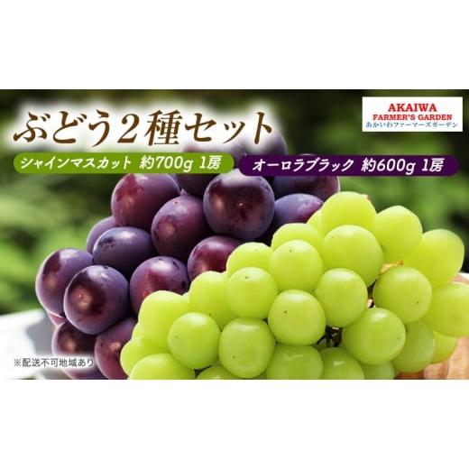 ふるさと納税 ぶどう マスカット 岡山県 赤磐市 ぶどう 2026年 先行予約 シャインマスカット 約700g 1房 オーロラブラック 約600g 1房 葡萄 岡山県 赤磐市産 …