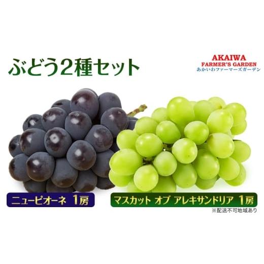 ふるさと納税 果物類 ぶどう 岡山県 赤磐市 ぶどう 2026年 先行予約 マスカット オブ アレキサンドリア ニューピオーネ 各1房 合計 約1.1kg 葡萄 岡山県 赤磐…