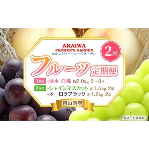 ふるさと納税 もも 岡山県 赤磐市 桃 ぶどう 定期便 2026年 先行予約 岡山満喫 清水 白桃 約2.0kg 6〜8玉 ぶどう 2種 詰合せ 2回に分けてお届け