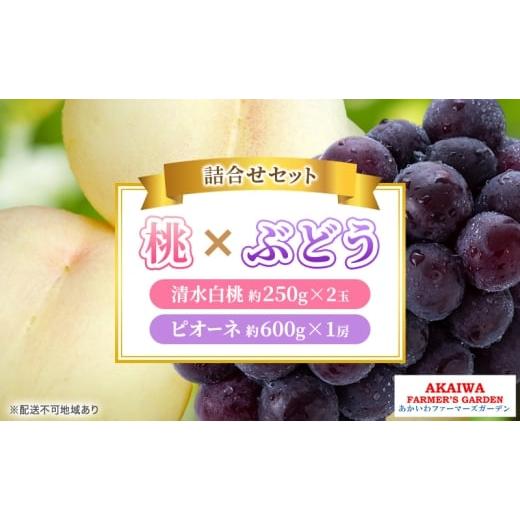 ふるさと納税 もも 岡山県 赤磐市 桃 ぶどう 詰合せ 2026年 先行予約 清水 白桃 2玉(1玉250g以上) ニュー ピオーネ 1房 約600g 岡山県 赤磐市産 フルーツ 果…