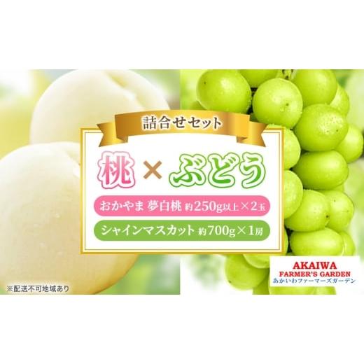 ふるさと納税 もも 岡山県 赤磐市 桃 ぶどう 詰合せ 2026年 先行予約 おかやま 夢 白桃 2玉(1玉250g以上) シャイン マスカット 1房 約700g 岡山県 赤磐市産 …