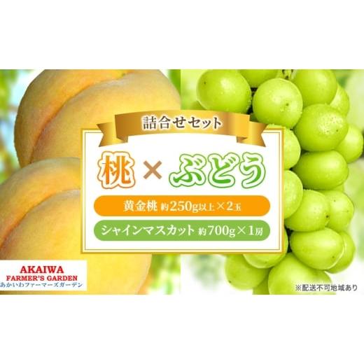 ふるさと納税 もも 岡山県 赤磐市 桃 ぶどう 詰合せ 2026年 先行予約 黄金 桃 2玉(1玉250g以上) シャイン マスカット 1房 約700g 岡山県 赤磐市産 フルーツ …