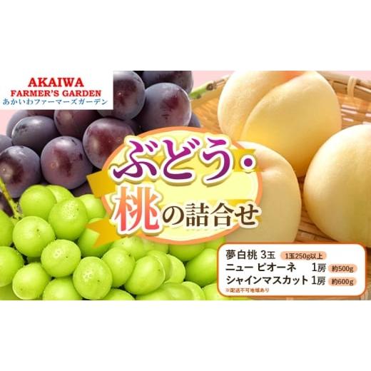 ふるさと納税 もも 岡山県 赤磐市 桃 ぶどう 詰合せ 2026年 先行予約 夢白桃 3玉(1玉250g以上) ニュー ピオーネ 1房 約500g シャインマスカット1房約600g 岡山…
